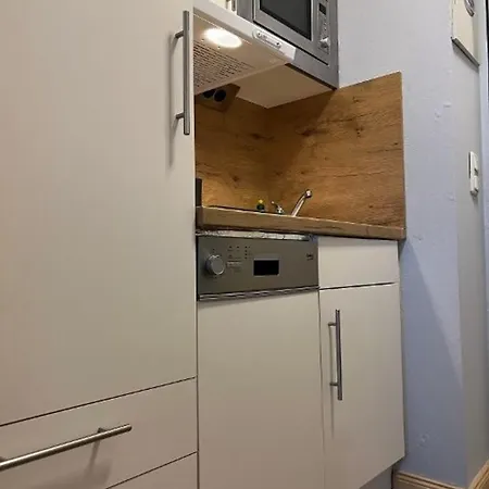 Seeschwalbe * Burgtiefe auf Fehmarn